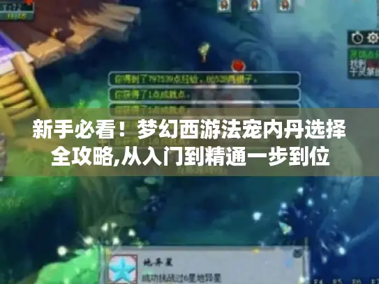 新手必看！梦幻西游法宠内丹选择全攻略,从入门到精通一步到位