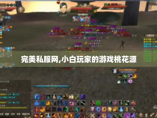 完美私服网,小白玩家的游戏桃花源