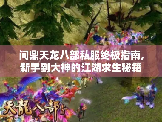 问鼎天龙八部私服终极指南,新手到大神的江湖求生秘籍