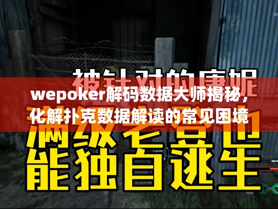 wepoker解码数据大师揭秘，化解扑克数据解读的常见困境