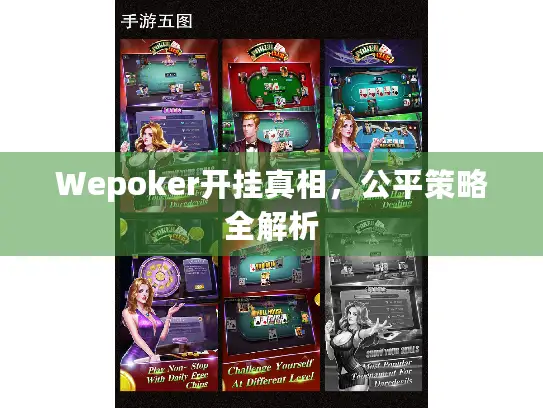 Wepoker开挂真相，公平策略全解析