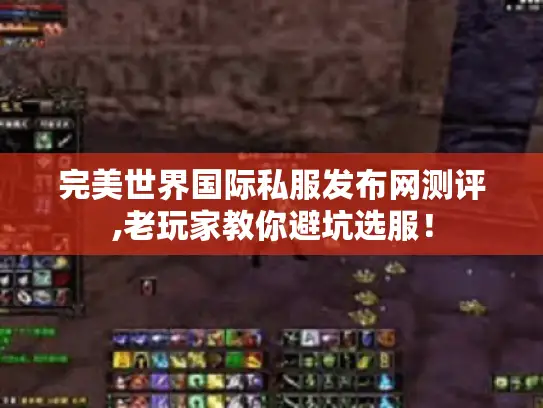 完美世界国际私服发布网测评,老玩家教你避坑选服！
