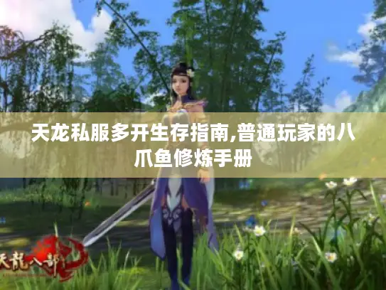 天龙私服多开生存指南,普通玩家的八爪鱼修炼手册