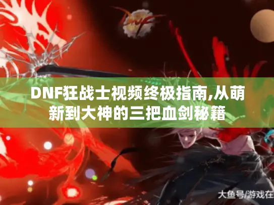 DNF狂战士视频终极指南,从萌新到大神的三把血剑秘籍