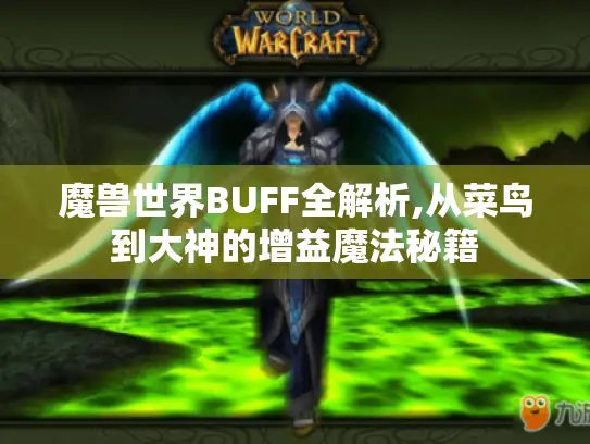 魔兽世界BUFF全解析,从菜鸟到大神的增益魔法秘籍