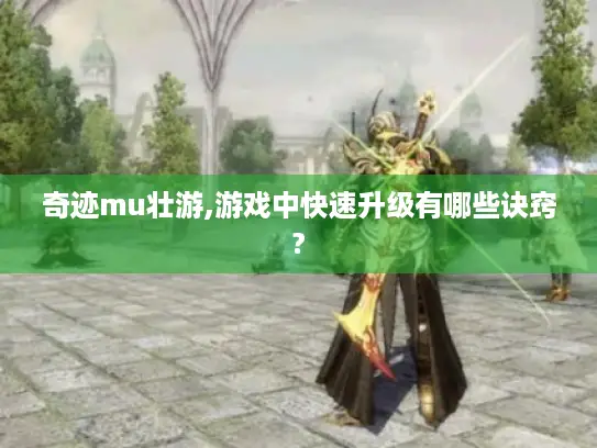 奇迹mu壮游,游戏中快速升级有哪些诀窍? 奇迹mu壮游,游戏中快速升级有哪些诀窍?