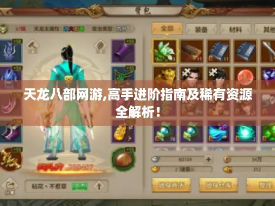 天龙八部网游,高手进阶指南及稀有资源全解析！
