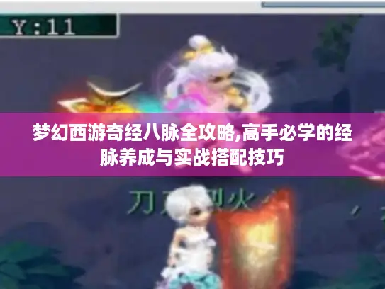 梦幻西游奇经八脉全攻略,高手必学的经脉养成与实战搭配技巧