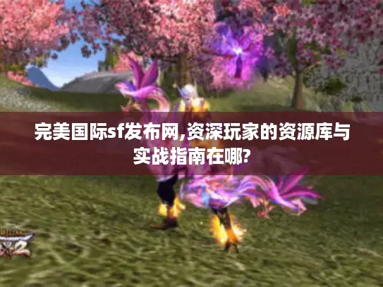 完美国际sf发布网,资深玩家的资源库与实战指南在哪? 完美国际sf发布网,资深玩家的资源库与实战指南在哪?