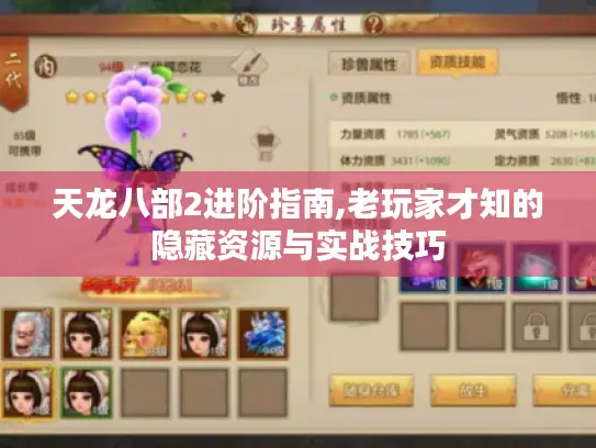 天龙八部2进阶指南,老玩家才知的隐藏资源与实战技巧
