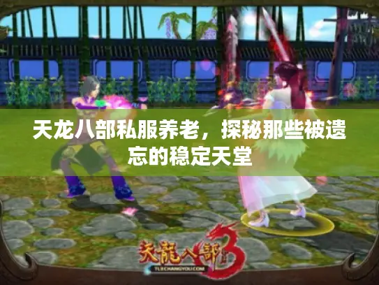 天龙八部私服养老，探秘那些被遗忘的稳定天堂