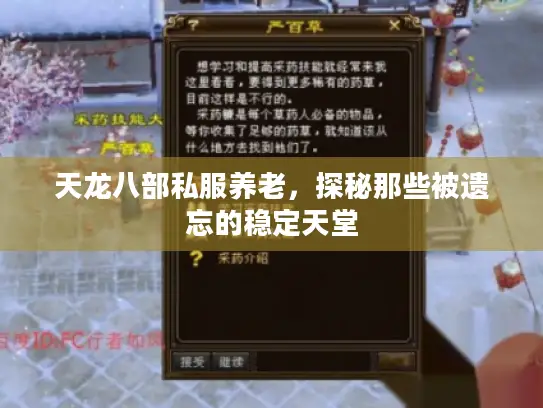 天龙八部私服养老，探秘那些被遗忘的稳定天堂