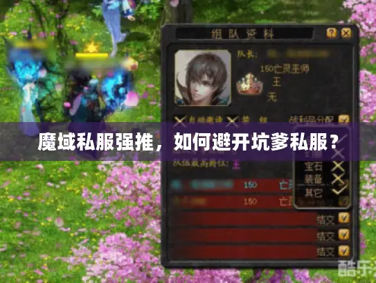 魔域私服强推，如何避开坑爹私服？