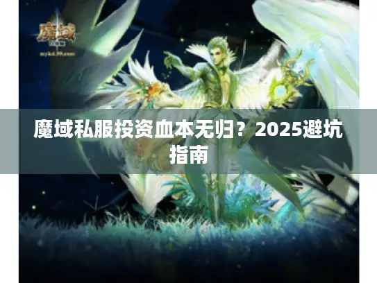 魔域私服投资血本无归？2025避坑指南