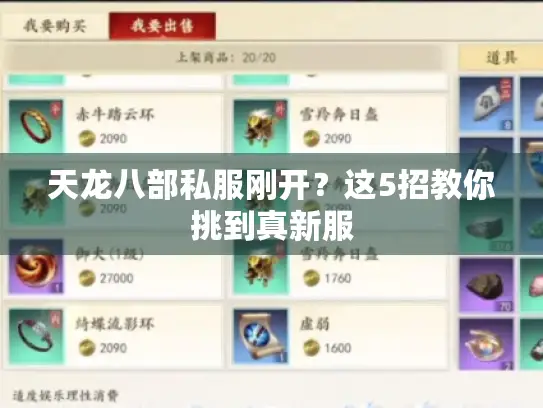 天龙八部私服刚开？这5招教你挑到真新服