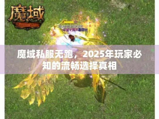 魔域私服无跑，2025年玩家必知的流畅选择真相