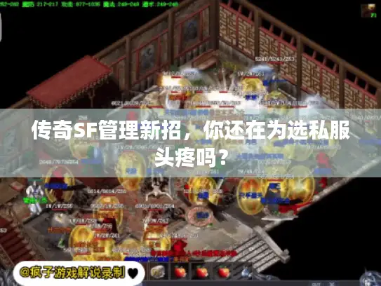 传奇SF管理新招,你还在为选私服头疼吗? 传奇SF管理新招,你还在为选私服头疼吗?