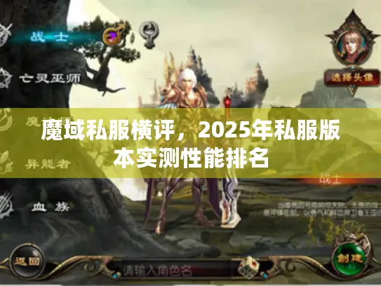 魔域私服横评，2025年私服版本实测性能排名