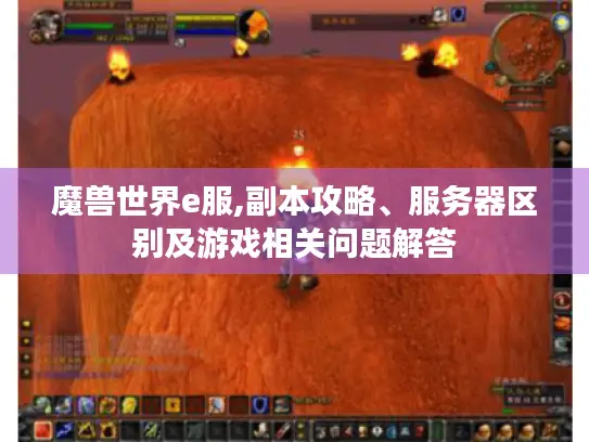 魔兽世界e服,副本攻略、服务器区别及游戏相关问题解答