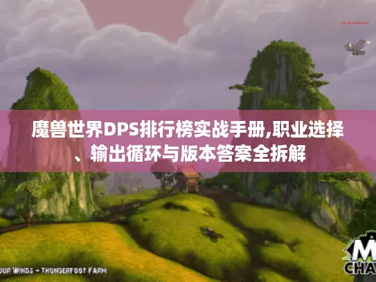 魔兽世界DPS排行榜实战手册,职业选择、输出循环与版本答案全拆解