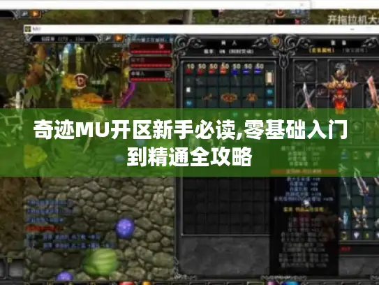 奇迹MU开区新手必读,零基础入门到精通全攻略 奇迹MU开区新手必读,零基础入门到精通全攻略