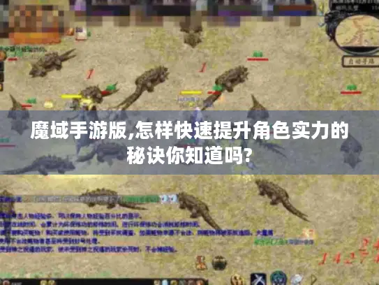 魔域手游版,怎样快速提升角色实力的秘诀你知道吗?