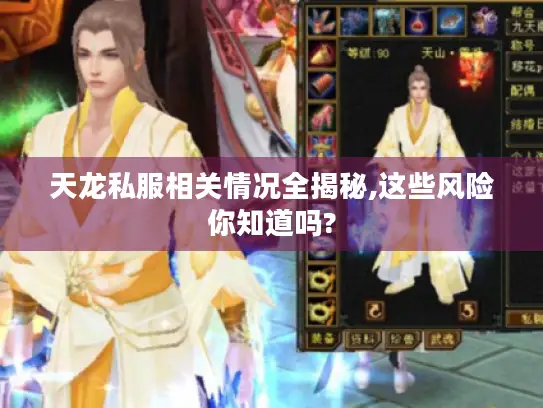 天龙私服相关情况全揭秘,这些风险你知道吗? 天龙私服相关情况全揭秘,这些风险你知道吗?