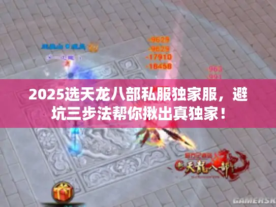 2025选天龙八部私服独家服，避坑三步法帮你揪出真独家！