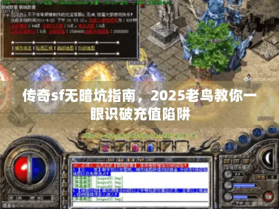 传奇sf无暗坑指南,2025老鸟教你一眼识破充值陷阱 传奇sf无暗坑指南,2025老鸟教你一眼识破充值陷阱