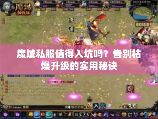 魔域私服值得入坑吗?告别枯燥升级的实用秘诀 魔域私服值得入坑吗?告别枯燥升级的实用秘诀