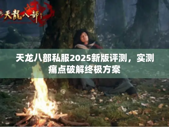 天龙八部私服2025新版评测，实测痛点破解终极方案