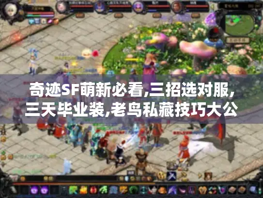 奇迹SF萌新必看,三招选对服,三天毕业装,老鸟私藏技巧大公开