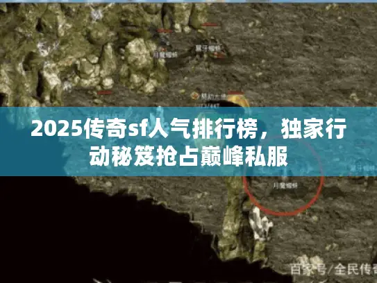 2025传奇sf人气排行榜，独家行动秘笈抢占巅峰私服