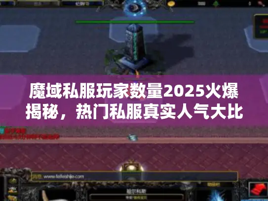 魔域私服玩家数量2025火爆揭秘，热门私服真实人气大比拼