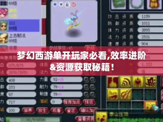 梦幻西游单开玩家必看,效率进阶&资源获取秘籍！