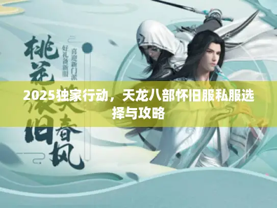 2025独家行动,天龙八部怀旧服私服选择与攻略 2025独家行动,天龙八部怀旧服私服选择与攻略
