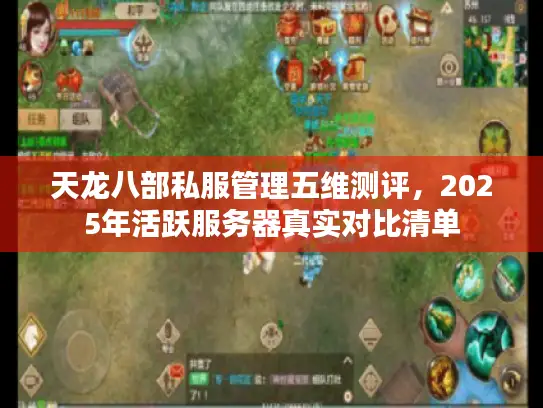 天龙八部私服管理五维测评，2025年活跃服务器真实对比清单