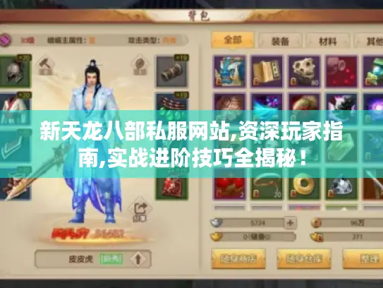 新天龙八部私服网站,资深玩家指南,实战进阶技巧全揭秘! 新天龙八部私服网站,资深玩家指南,实战进阶技巧全揭秘!