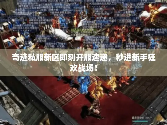 奇迹私服新区即刻开服速递，秒进新手狂欢战场！