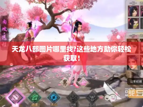 天龙八部图片哪里找?这些地方助你轻松获取！