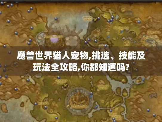 魔兽世界猎人宠物,挑选、技能及玩法全攻略,你都知道吗?