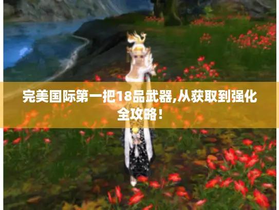 完美国际第一把18品武器,从获取到强化全攻略! 完美国际第一把18品武器,从获取到强化全攻略!