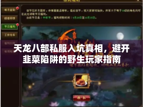 天龙八部私服入坑真相，避开韭菜陷阱的野生玩家指南
