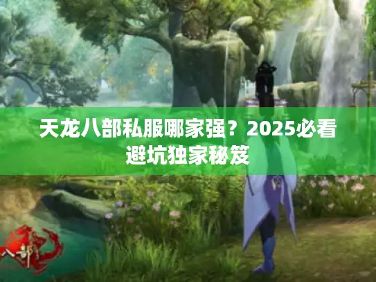 天龙八部私服哪家强？2025必看避坑独家秘笈