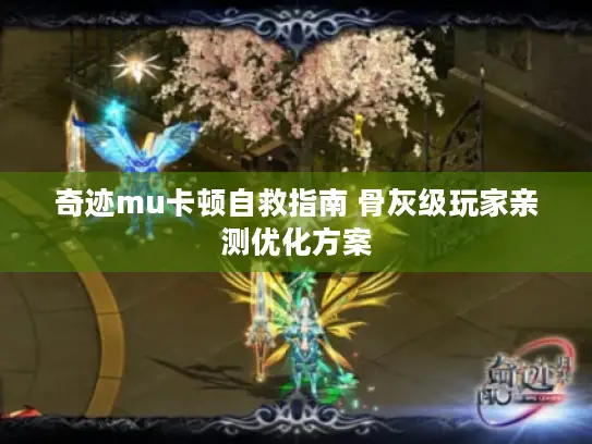 奇迹mu卡顿自救指南 骨灰级玩家亲测优化方案 奇迹mu卡顿自救指南 骨灰级玩家亲测优化方案