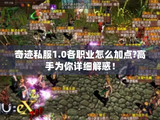 奇迹私服1.0各职业怎么加点?高手为你详细解惑！