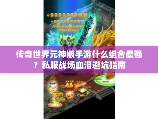 传奇世界元神版手游什么组合最强？私服战场血泪避坑指南
