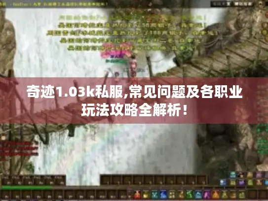 奇迹1.03k私服,常见问题及各职业玩法攻略全解析! 奇迹1.03k私服,常见问题及各职业玩法攻略全解析!