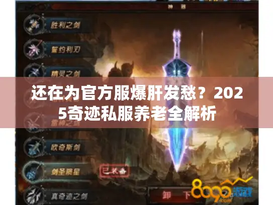 还在为官方服爆肝发愁？2025奇迹私服养老全解析