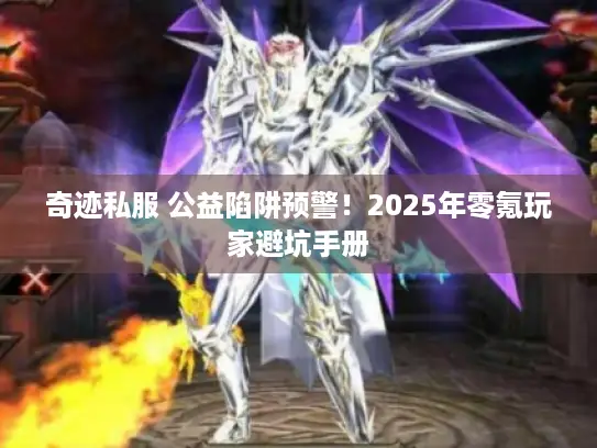 奇迹私服 公益陷阱预警！2025年零氪玩家避坑手册